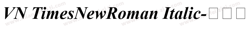 VN TimesNewRoman Italic字体转换